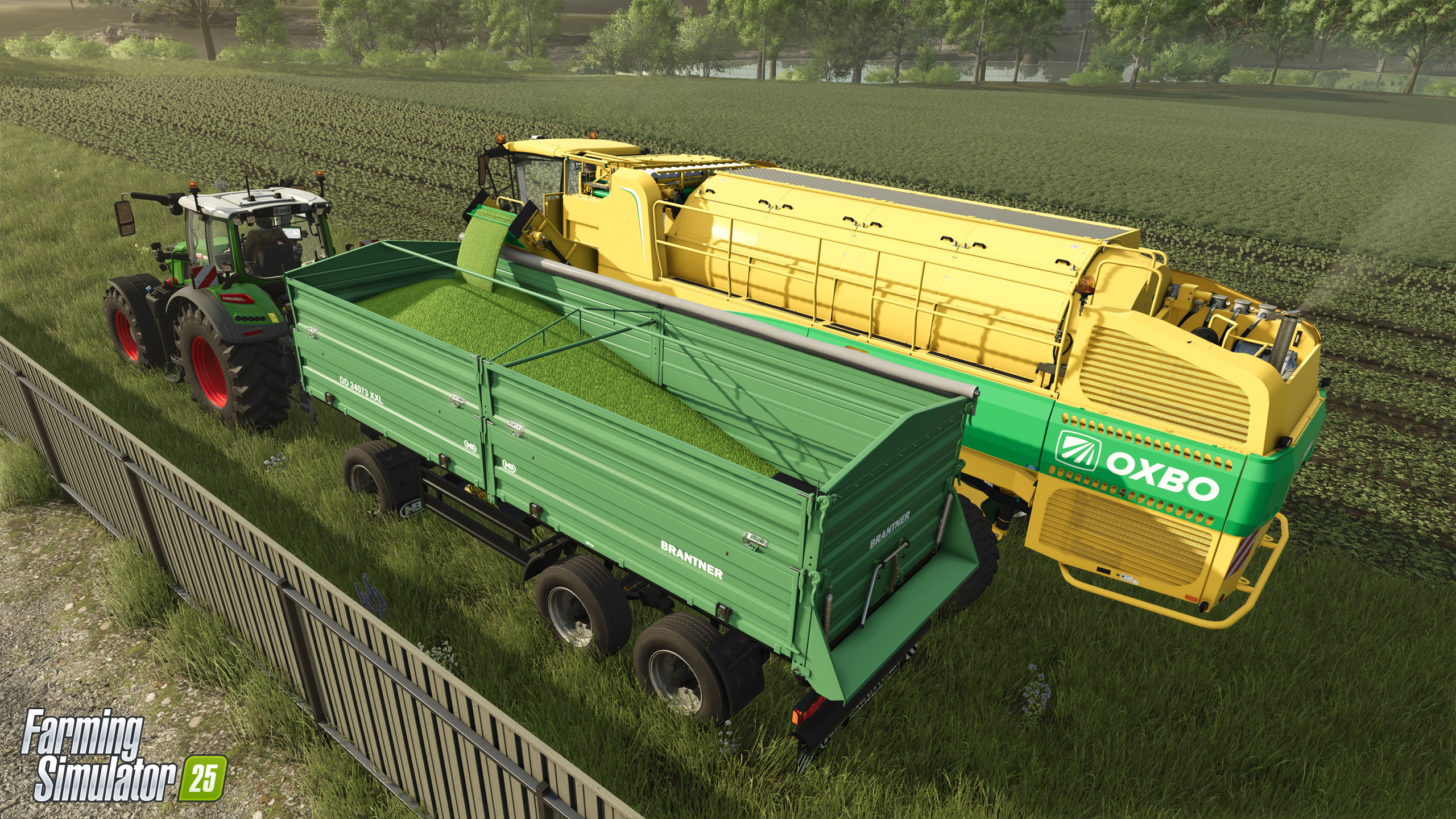 GIANTS Software annuncia nuove colture per Farming Simulator 25